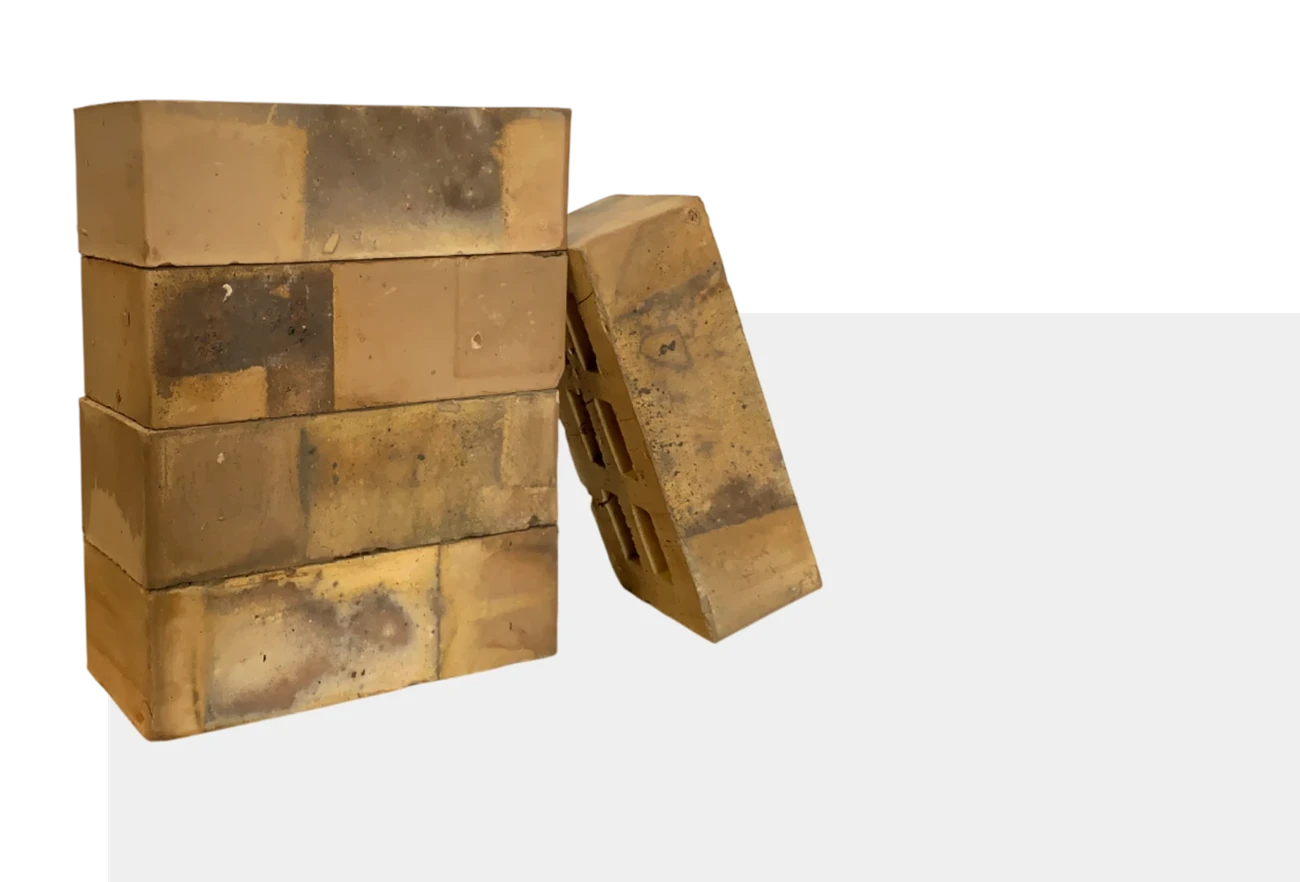 Extruded bricks
